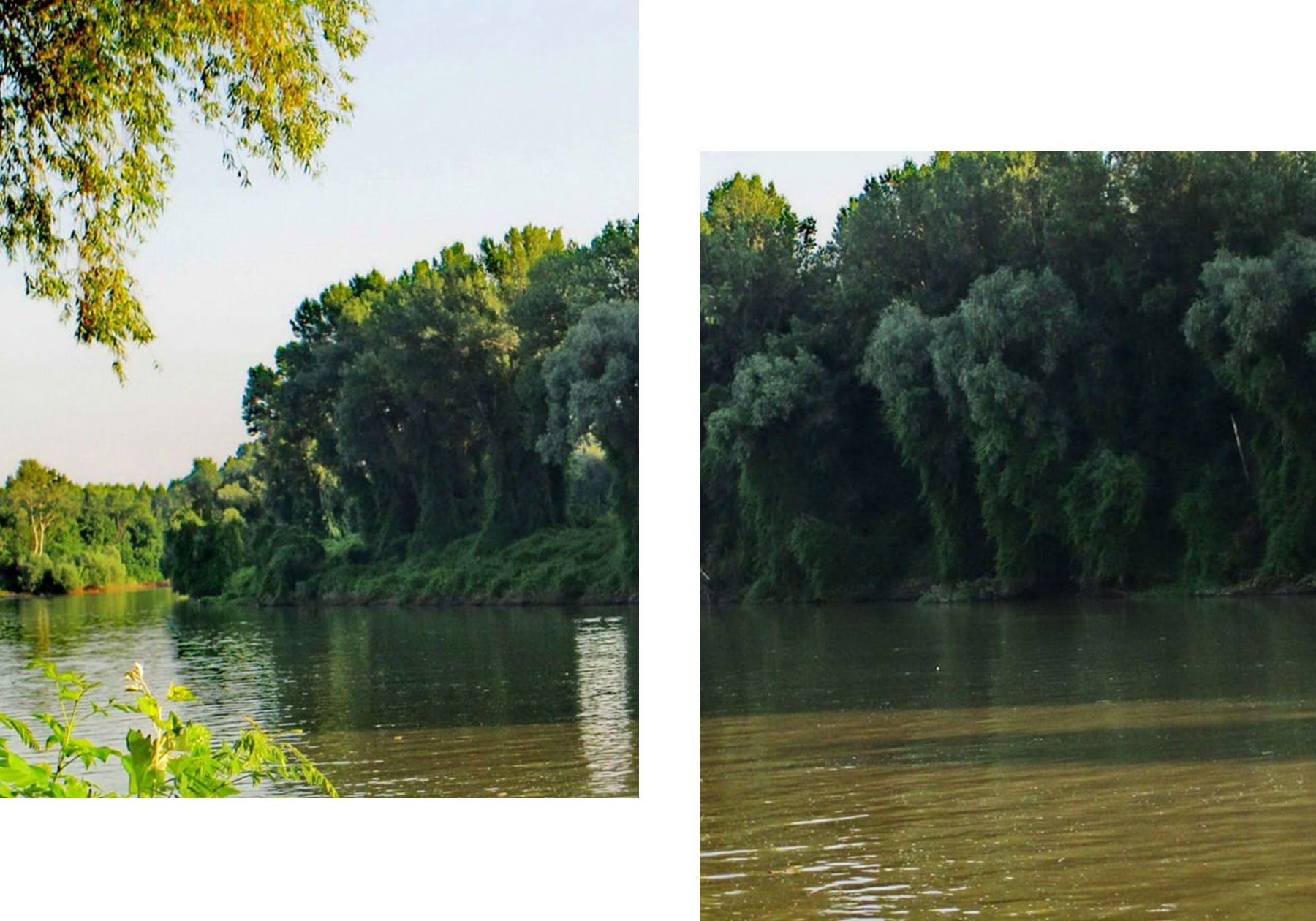 Bejegyzés